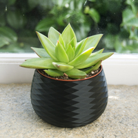 Home Decor Pot - Thumbnail 2