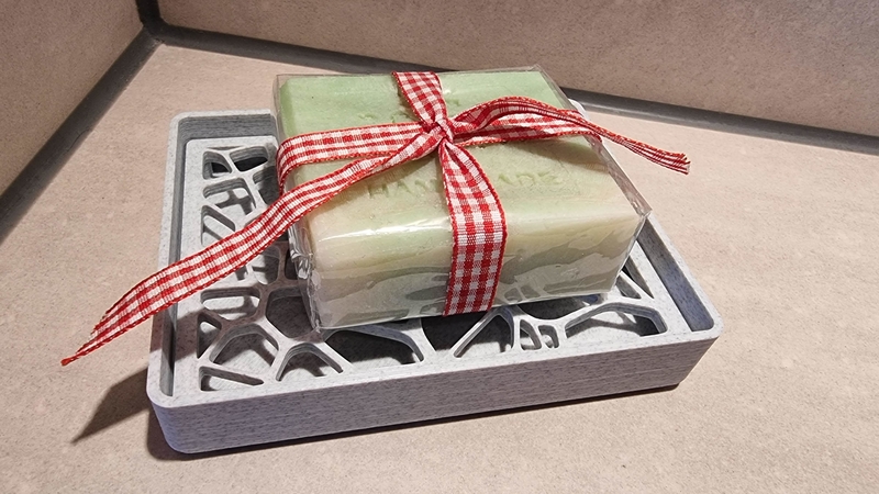 Stylish soap dish with lid