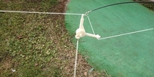 Image 395786