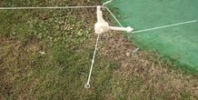 Image 395787