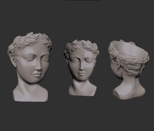 VENUS HEAD PLANTER 3D Print 395999