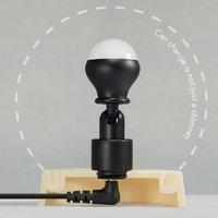 tortoise lamp - Thumbnail 4