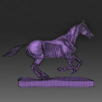 Horse - Thumbnail 3