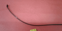 Image 396270