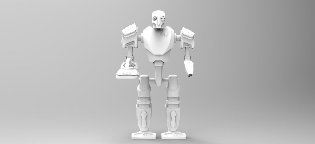 RHK (Robo housekeeper) 3D Print 39660
