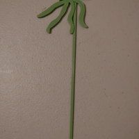 Garden picks - Thumbnail 6
