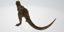 Image 396752