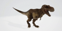 Image 396753
