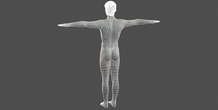 Image 396901