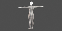 Image 397007