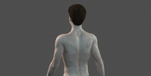 Image 397057