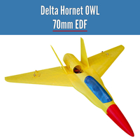 Small Delta Hornet OWL 70mm EDF from OWLplane - test files 3D Printing 398035