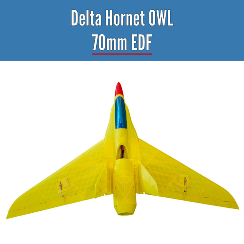 Delta Hornet OWL 70mm EDF from OWLplane - test files 3D Print 398037