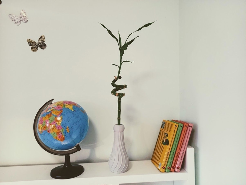 Vase (Spiral Theme)