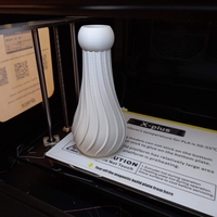 Vase (Spiral Theme) - Thumbnail 3