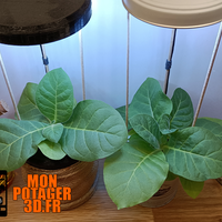 Le jardin d'intérieur V2 - Thumbnail 1