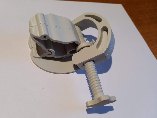 Phone Stand (Frog) 3D Print 398470