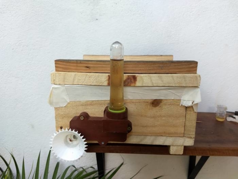 Alimentador roso para abelhas - Bee feeder