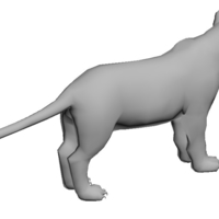 lion-female - Thumbnail 3