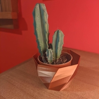 Low poly vase planter - Thumbnail 3