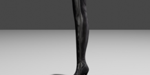 Image 400347