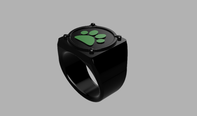 Cat Noir Ring - Miraculous: Ladybug and Cat Noir