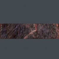 stam - Thumbnail 8