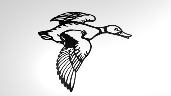 flying duck