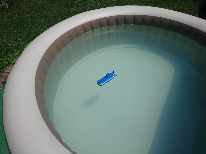 Chlorine disperser  for swimming  pools. 3D Print 404675