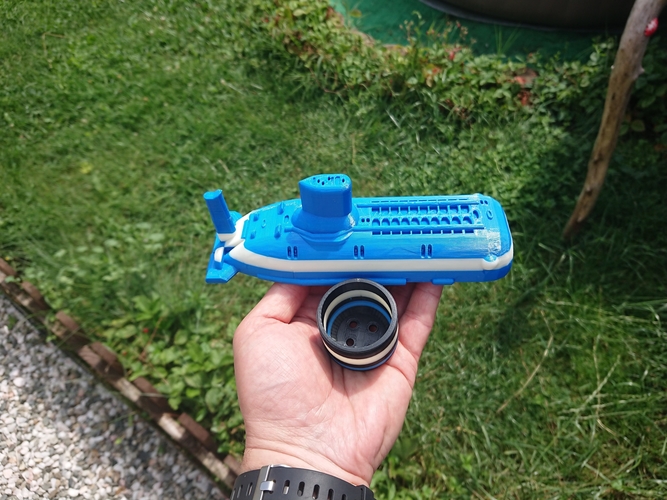 Chlorine disperser  for swimming  pools. 3D Print 404676
