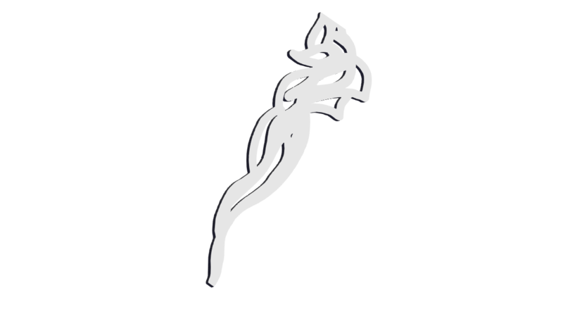 Hair Pin