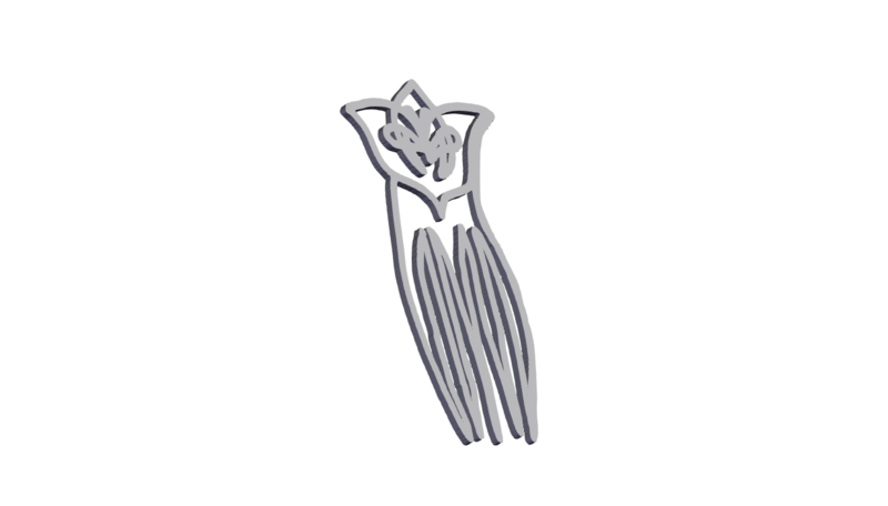 Hair Comb
