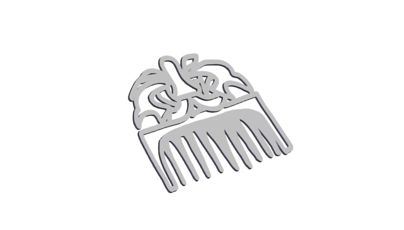 Dual Birds Comb