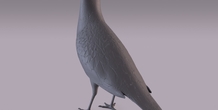 Image 404974