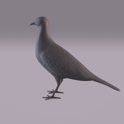 Pigeon 3D Print 404975