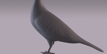Image 404975