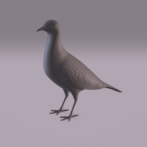 Pigeon 3D Print 404976