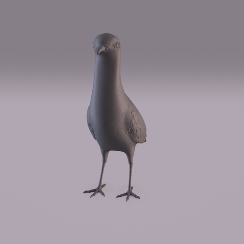 Pigeon 3D Print 404977