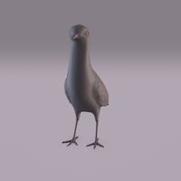 Pigeon - Thumbnail 4