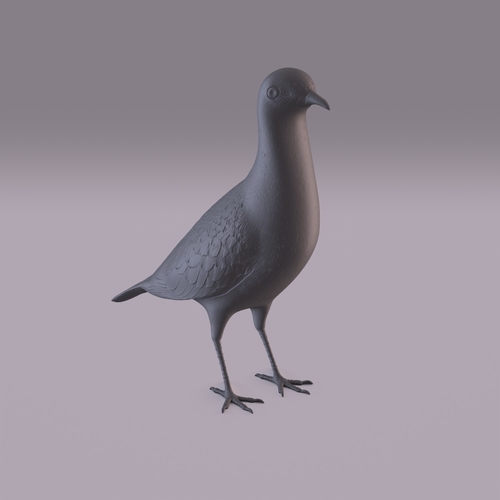 Pigeon 3D Print 404979