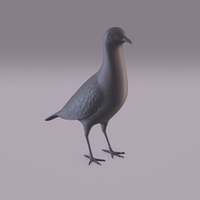 Pigeon - Thumbnail 6