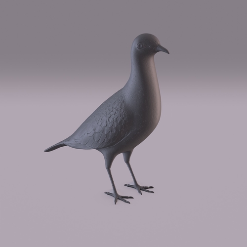Pigeon 3D Print 404980