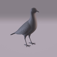Small Pigeon 3D Printing 404980