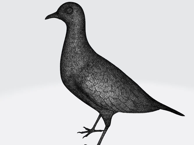 Pigeon 3D Print 404981