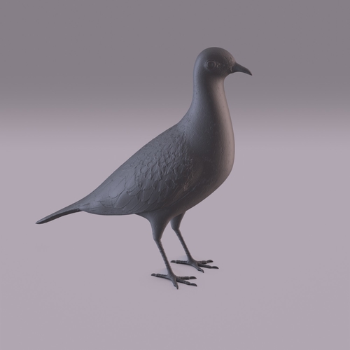Pigeon 3D Print 404983