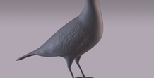Image 404983