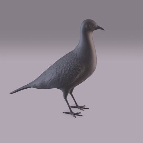 Pigeon 3D Print 404984