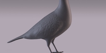 Image 404984