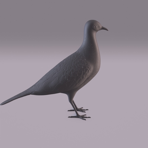 Pigeon 3D Print 404985