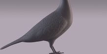 Image 404985